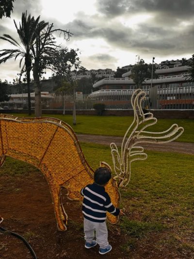 Parque Sur - Maspalomas - Gran Canaria — фото погоды в январе (2026-01-06)