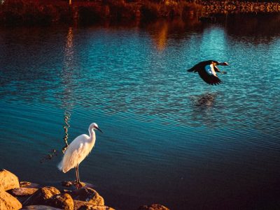 Parque Sur - Maspalomas - Gran Canaria — фото погоды в феврале (2026-02-18)