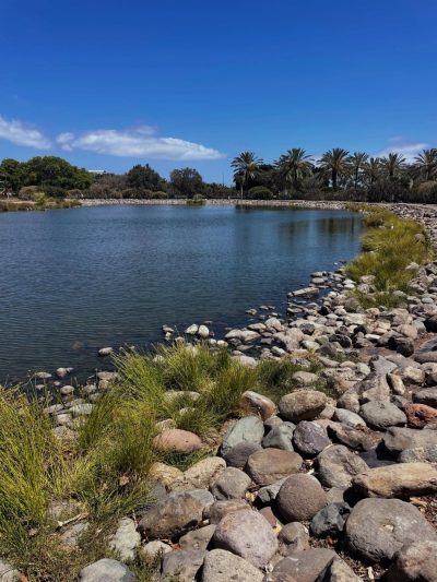 Parque Sur - Maspalomas - Gran Canaria — фото погоды в июне (2026-06-16)