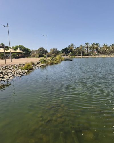 Parque Sur - Maspalomas - Gran Canaria — фото погоды в июле (2026-07-04)