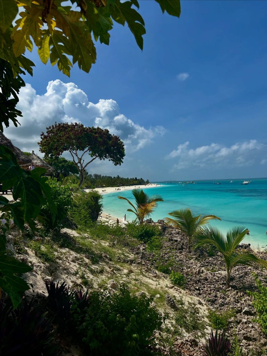 Погода в Riu palace zanzibar