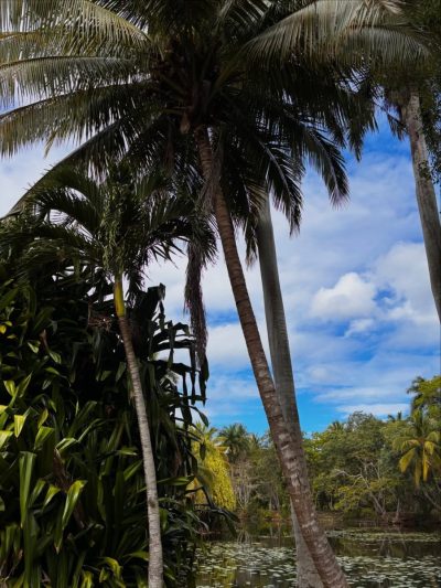 Ciénaga De Zapata Matanzas в феврале — фото погоды (2026-02-05)