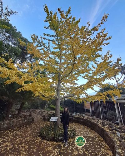 Kirstenbosch National Botanical Gardens, Cape Town в мае — фото погоды (2026-05-24)