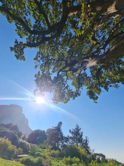 Kirstenbosch National Botanical Gardens, Cape Town в июне — фото погоды (2026-06-01)