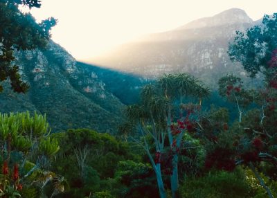 Kirstenbosch National Botanical Gardens, Cape Town в июне — фото погоды (2026-06-16)