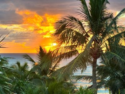 Be Tulum в феврале — фото погоды (2026-02-25)