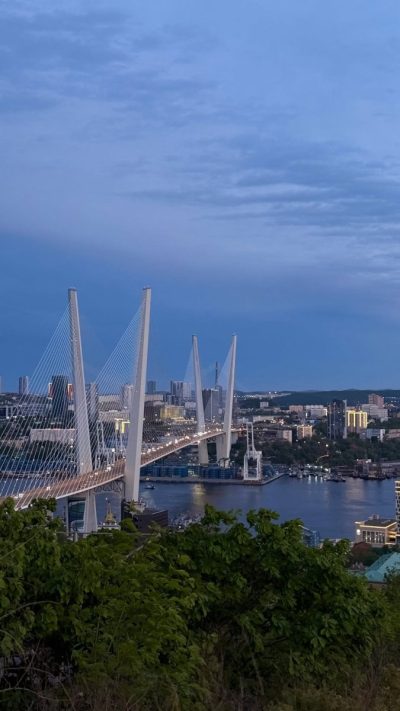 Остров Русский в июне — фото погоды (2026-06-08)