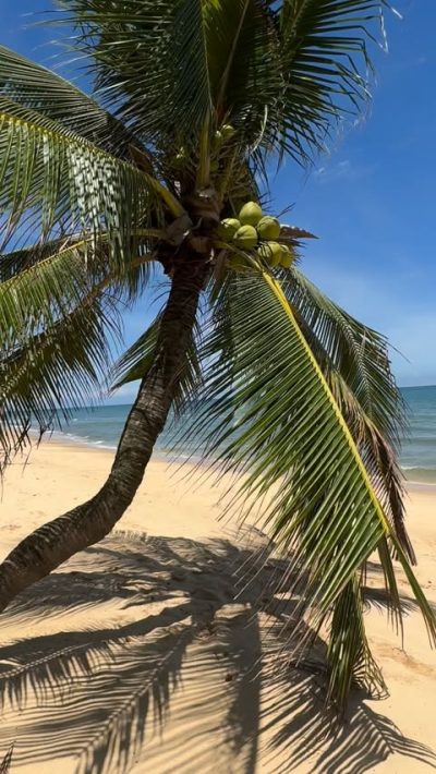 Long Beach Phu Quoc в июне — фото погоды (2026-06-19)