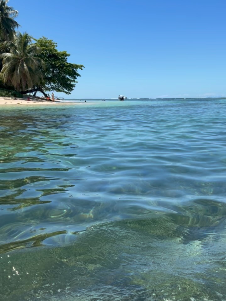 Погода в Isla Zapatilla