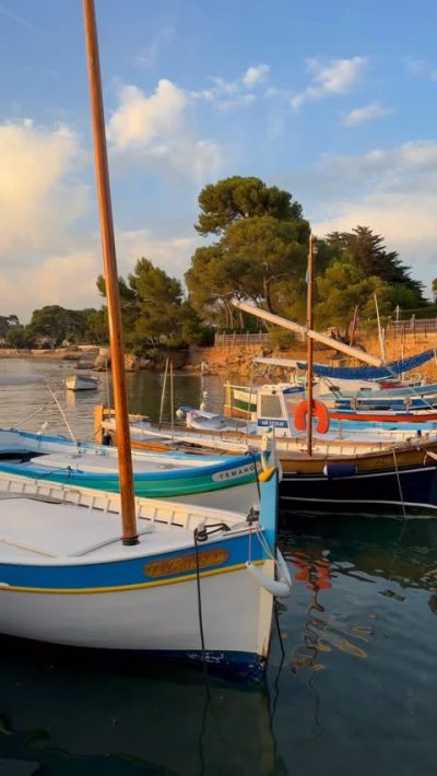 Port-Abri de l'Olivette в июле — фото погоды (2026-07-14)
