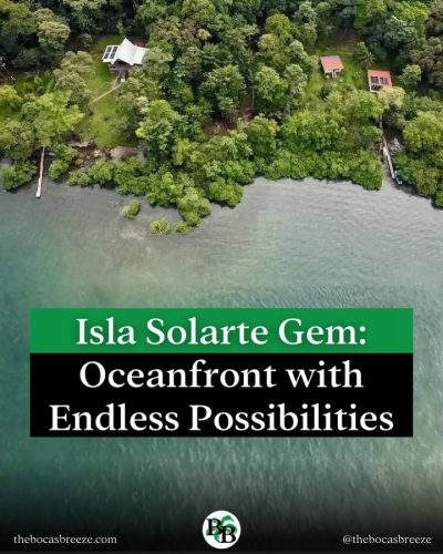 Solarte Island в феврале — фото погоды (2026-02-17)