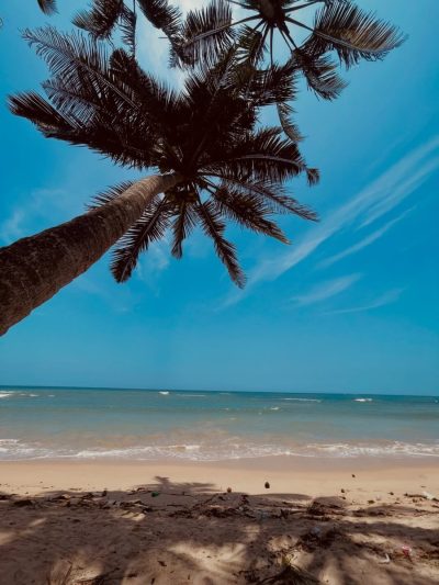 Kosgoda, Sri Lanka в апреле — фото погоды (2026-04-02)
