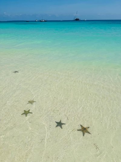 Zanzibar, Tanzania в июне — фото погоды (2026-06-16)