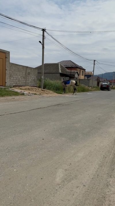 Семендер в июле — фото погоды (2026-07-17)