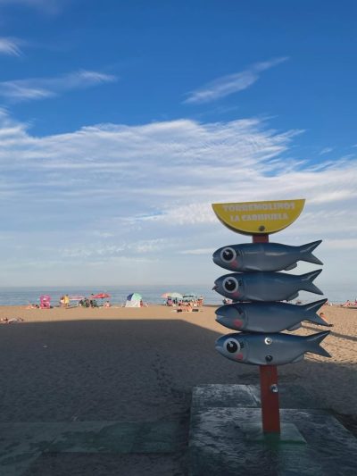 Playa Carihuela в марте — фото погоды (2026-03-29)