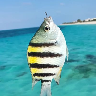 Cayo Coco в марте — фото погоды (2025-03-25)