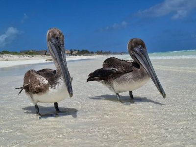 Cayo Coco в сентябре — фото погоды (2025-09-01)