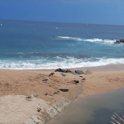 Platja de Fenals в августе — фото погоды (2025-08-28)