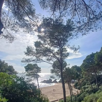 Platja de Fenals в январе — фото погоды (2026-01-25)