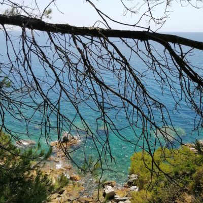Platja de Fenals в июле — фото погоды (2026-07-11)