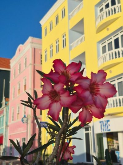 Willemstad, Curaçao в сентябре — фото погоды (2025-09-20)