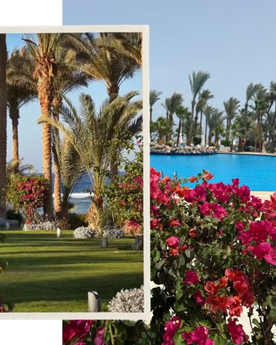 Marsa Alam Brayka Bay Resort — фото погоды в мае (2026-05-10)