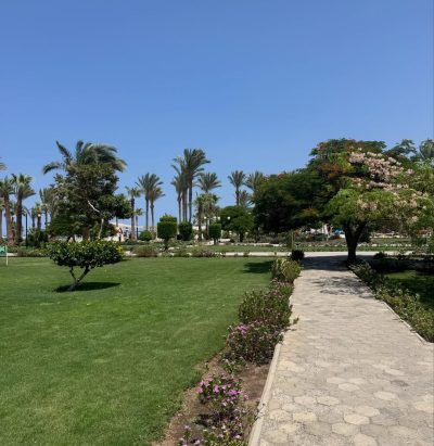 Marsa Alam Brayka Bay Resort — фото погоды в июле (2026-07-11)