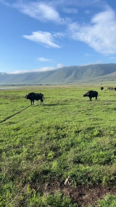 Ngorongoro Crater, Tanzania в январе — фото погоды (2026-01-30)