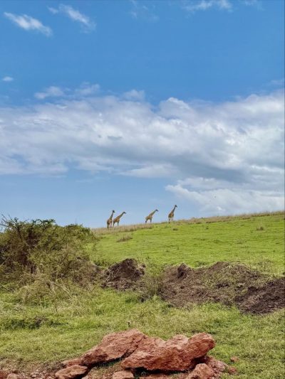 Ngorongoro Crater, Tanzania в апреле — фото погоды (2026-04-15)