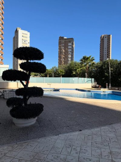 Flamingo Beach Resort — фото погоды в январе (2026-01-31)