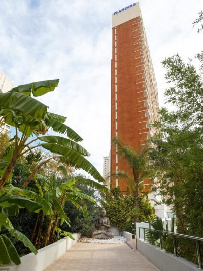 Flamingo Beach Resort — фото погоды в июне (2026-06-29)
