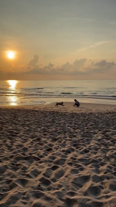 Chaweng Beach Koh Samui в апреле — фото погоды (2026-04-19)