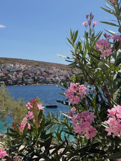 Trogir, Ciovo в июле — фото погоды (2026-07-12)