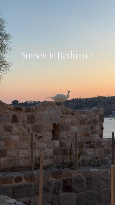 Bodrum Castle в январе — фото погоды (2026-01-15)
