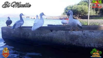 El Muelle в августе — фото погоды (2021-08-24)