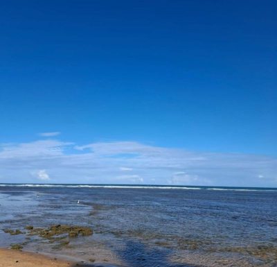 Praia do Forte в феврале — фото погоды (2025-02-21)