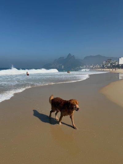 Ipanema Beach - Rio De Janeiro, Brazil в июне — фото погоды (2026-06-28)