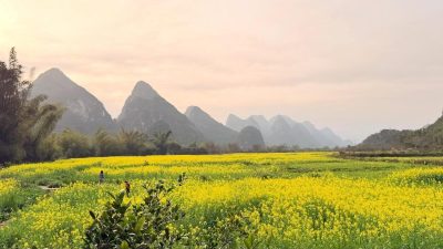 Yangshuo Mountain Retreat в марте — фото погоды (2026-03-09)