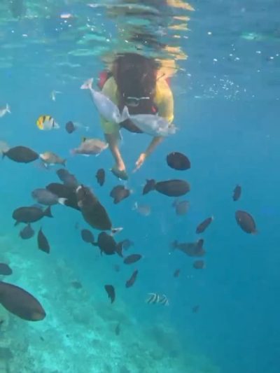 Mafushi Island Malvives в сентябре — фото погоды (2025-09-22)