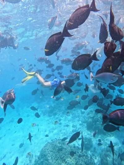 Mafushi Island Malvives в апреле — фото погоды (2026-04-05)