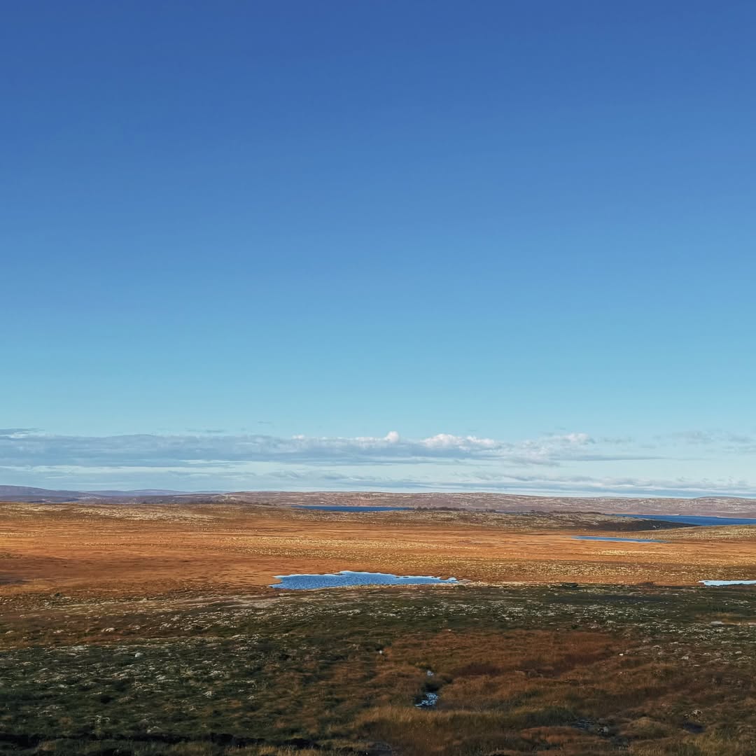 Погода в Мурманск
