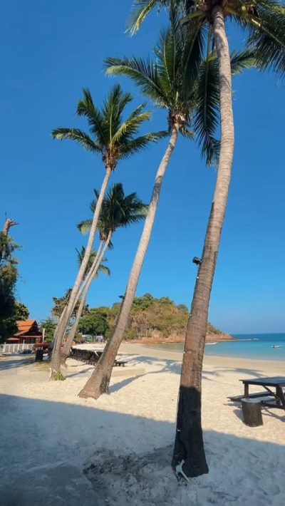 Redang Beach Resort - 热浪岛海滩度假村 — фото погоды в июне (2026-06-25)