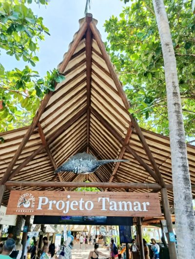 Projeto Tamar Praia do Forte в феврале — фото погоды (2026-02-12)