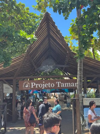 Projeto Tamar Praia do Forte в марте — фото погоды (2026-03-21)