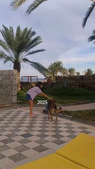 Zarzis, Tunisie в октябре — фото погоды (2025-10-06)