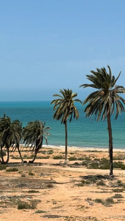 Zarzis, Tunisie в апреле — фото погоды (2026-04-28)