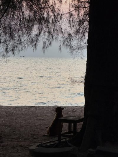 Cave Beach Club в мае — фото погоды (2026-05-17)
