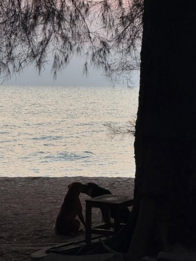 Cave Beach Club в мае — фото погоды (2026-05-17)