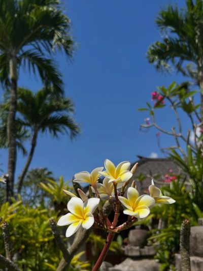 Bali Mandira Beach Resort & Spa — фото погоды в сентябре (2025-09-23)