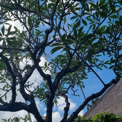 Bali Mandira Beach Resort & Spa — фото погоды в марте (2026-03-30)